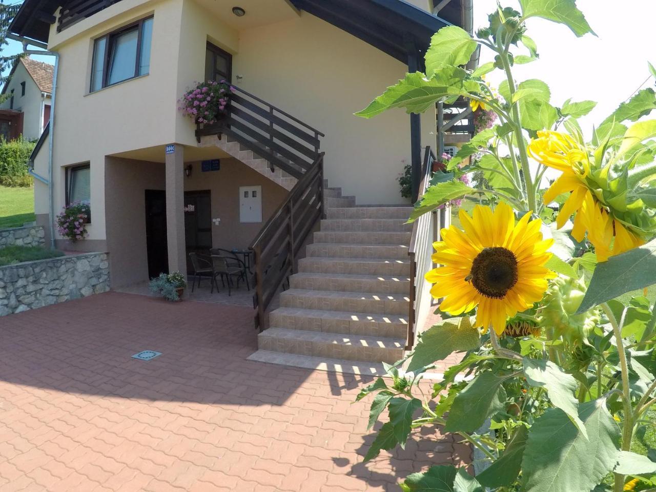 Apartment Ante Слуни Екстериор снимка